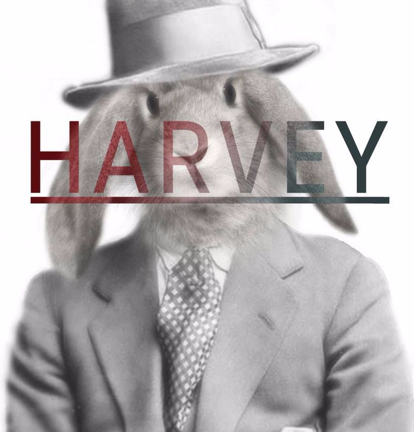 Kaartjes Harvey